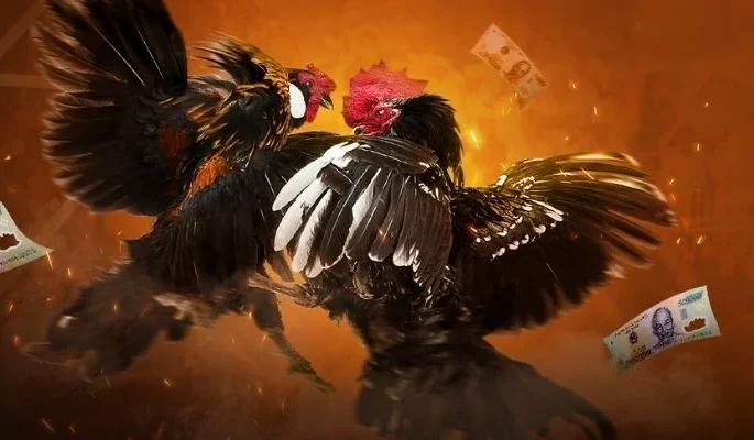 Ưu điểm vượt trội dành cho hội viên khi tham gia game.
