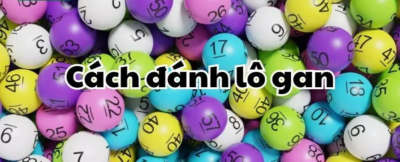 Các đặc trưng về lô gan rất dễ nhận biết.